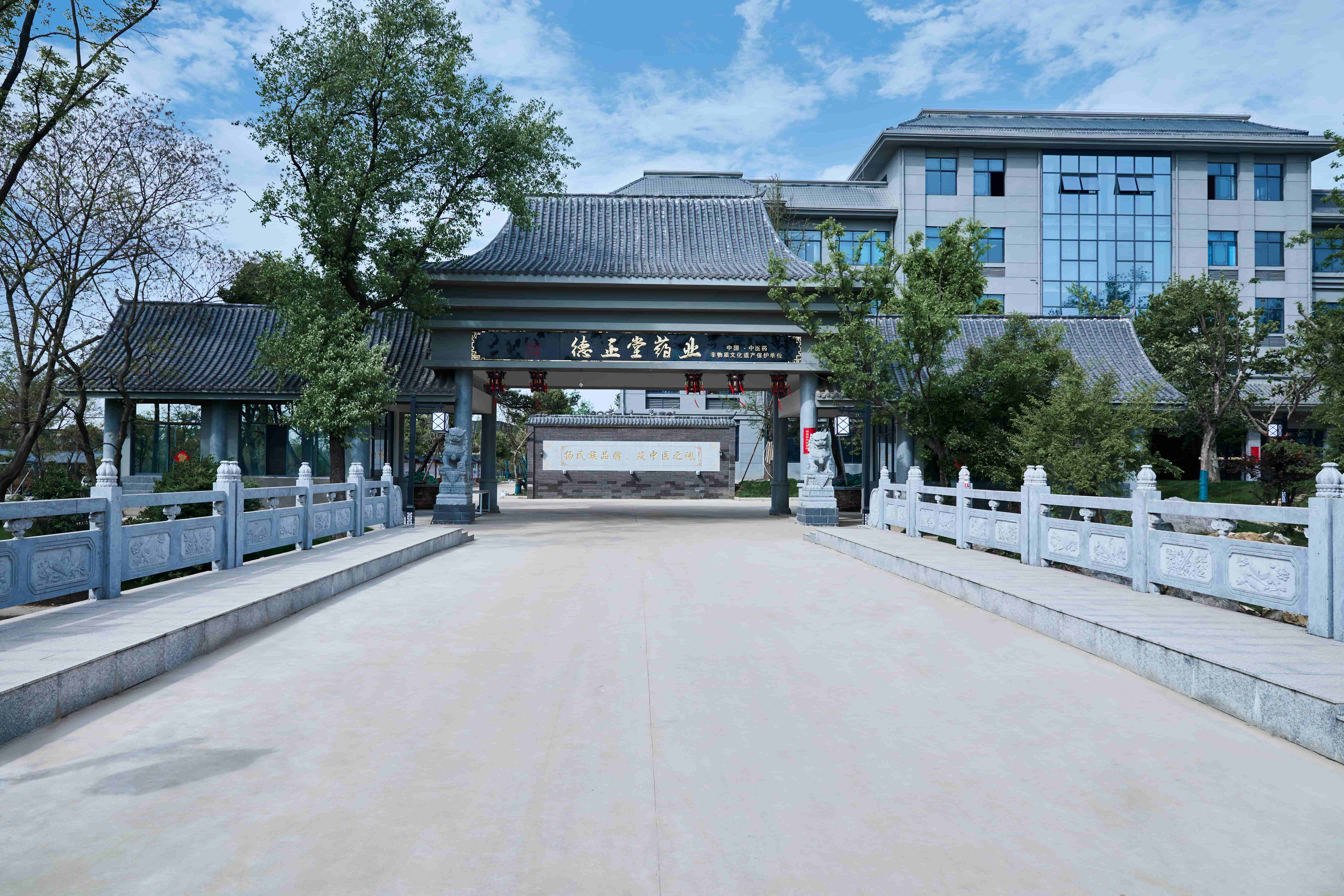 扬民族品牌 筑中医之魂